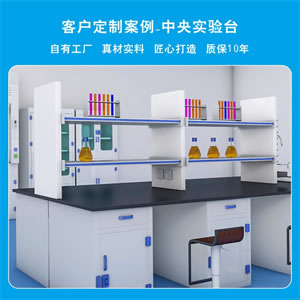 1实验台客户定制案例-中央实验台
