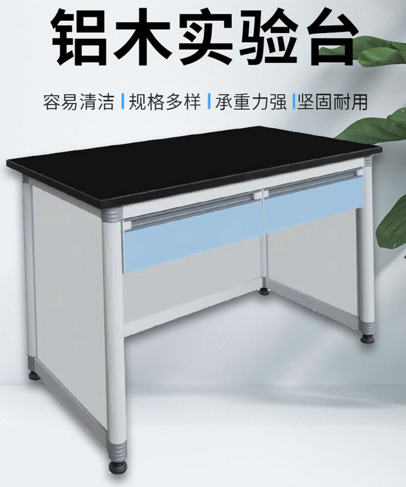 铝木仪器实验台6 铝木仪器实验台6