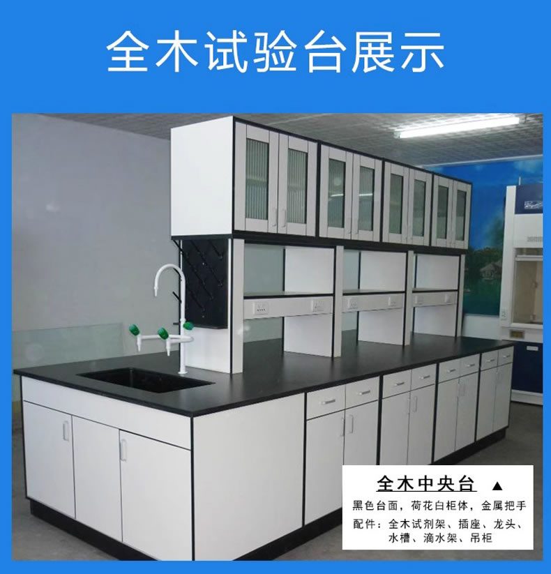 实验台吊柜(36).jpg 实验台吊柜(36).jpg