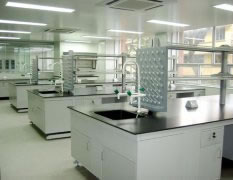 广州通风柜厂家_广州鸿威_客户案例_广东德美生物公司